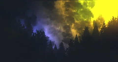 Thunder &amp; Lightning Forest Silhouette - Blue &amp; Yellow Stock Footage 92198595