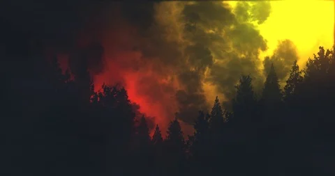 Thunder &amp; Lightning Forest Silhouette - Red &amp; Yellow Stock Footage 92169182