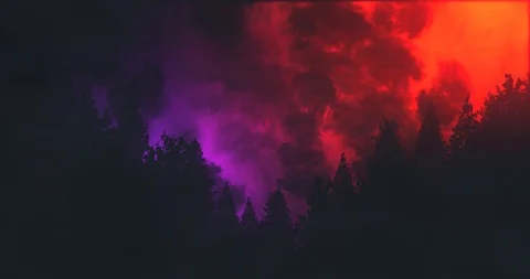 Thunder &amp; Lightning Forest Silhouette - Red &amp; Purple Stock Footage 92169419
