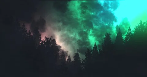 Thunder &amp; Lightning Forest Silhouette - Red &amp; Green Stock Footage 92169425