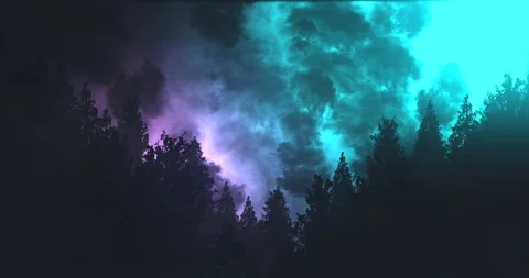 Thunder &amp; Lightning Forest Silhouette - Sky Blue &amp; Purple Stock Footage 92169423