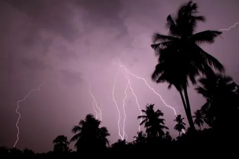 Thunder lightning storm in the raining night background over a house and palm Stock Photos