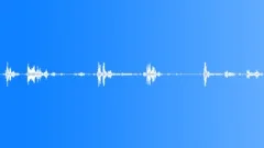 THUNDER Sound Effect