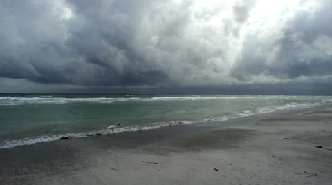 Thunder Storm Brewing over Sandy Beach at Sunset Stock Footage 39488203
