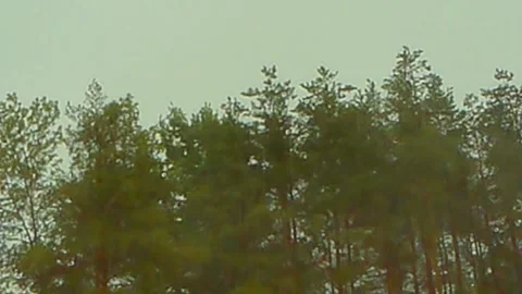 Thunder Storm Stock Footage 135678487