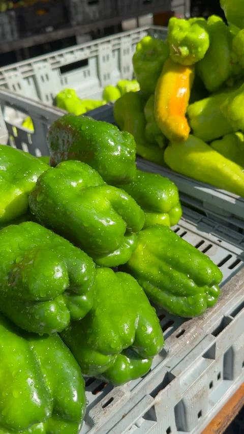 Thunder storm hits in Union Square on late afternoon in New York City Video stock 313907397