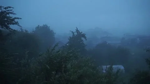 A thunder storm in the park Stock Footage 130505198
