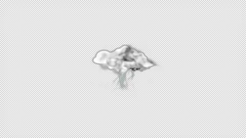 Thunder Weather Icons Stock Footage 293081633