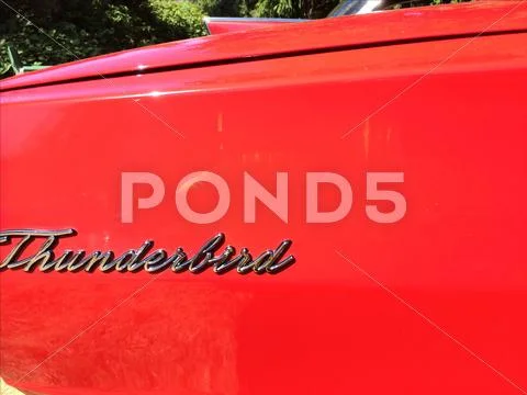 ThunderBird Stock Photos