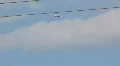 Thunderbirds practicing - 1  Video HD