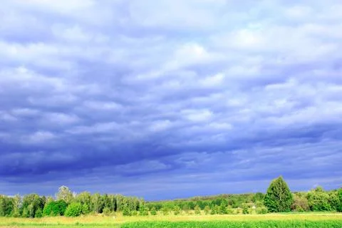 Thundercloud clouds under the forest and land Stock-Fotos