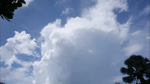 Thundercloud Forming Time-Lapse Stock Footage 313360858