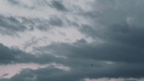 Thunderclouds and a flying swallows in the sky Stock Footage 129811494