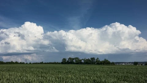 Thunderclouds developing over a wheat field Vídeo Stock 90367529