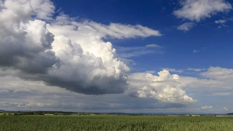 Thunderclouds developing over a wheat field Vídeo Stock 90491534