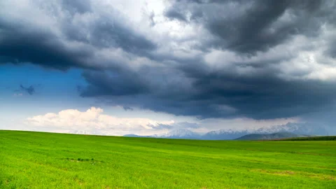 Thunderclouds over a spring wheat field. Stock Footage 108100747