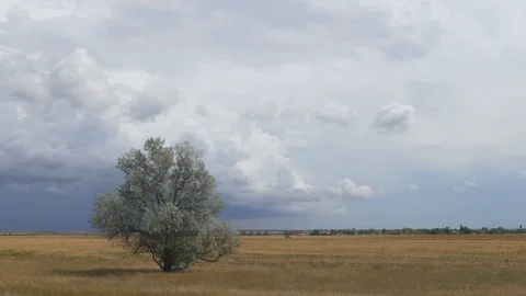 Thunderclouds over steppe, time lapse Stock Footage 92499768