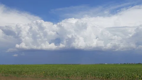 Thunderclouds over sunflower plantation, time lapse Stock Footage 92499770