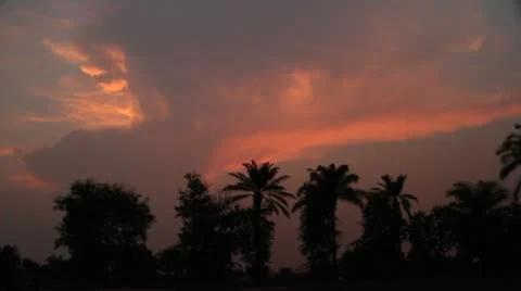 Thunderhead builds over palm trees pan left to right Stock Footage 21523797