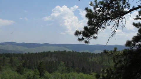 Thunderhead forms over the forest lands Stock Footage 40365938