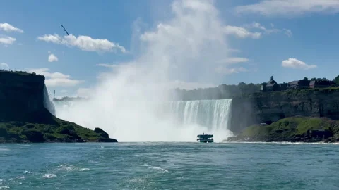 The thundering Niagara Falls captures nature's power and beauty Stock Footage 313954278