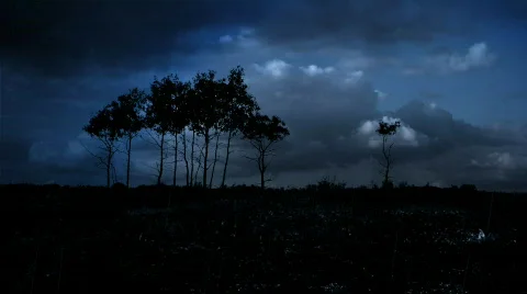 Thunderstorm 1 Stock Footage 451692