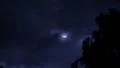 Thunderstorm and rain in jungle with audio 16x9 Footage