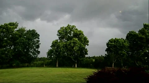 A thunderstorm approaches meadow while vultures soar. Stock Footage 52100603