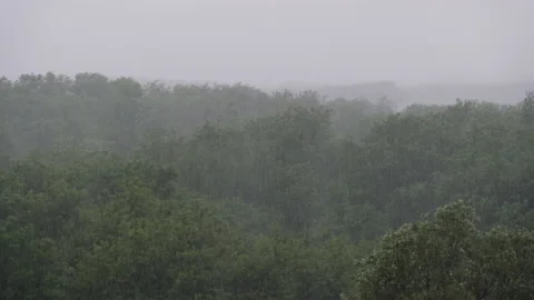 Thunderstorm on the Background of a Green Forest, Heavy Rain with Wind, Storm Stock Footage 155705219