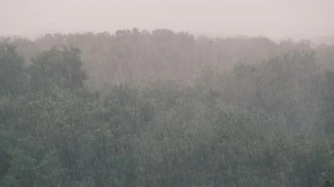 Thunderstorm on the Background of a Green Forest, Heavy Rain with Wind, Storm Stock Footage 155705719