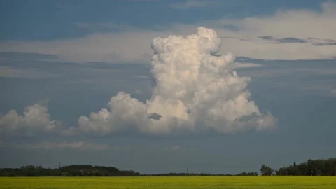 Thunderstorm cloud building in this time lapse with a canola field Stock Footage 144137323