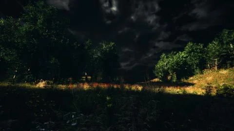 Thunderstorm clouds with lightning in green meadow Stock Illustration