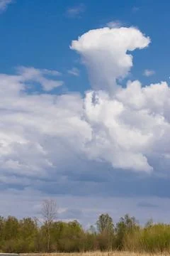 Thunderstorm clouds over the trees against the blue sky. Stock Photos