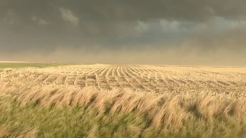 Thunderstorm Extreme Wind Nebraska Video stock 274250952