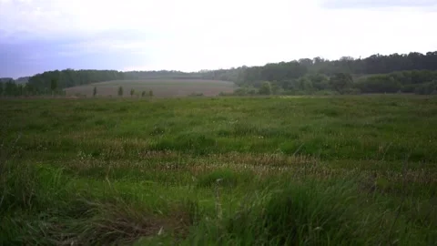 A thunderstorm on the field from the car window Stock Footage 274651826
