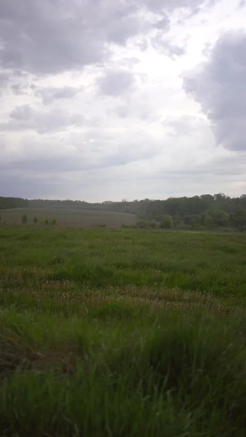 A thunderstorm on the field from the car window Video stock 274651847
