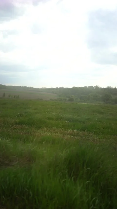 A thunderstorm on the field from the car window  window closed than opens Stock Footage 274651838