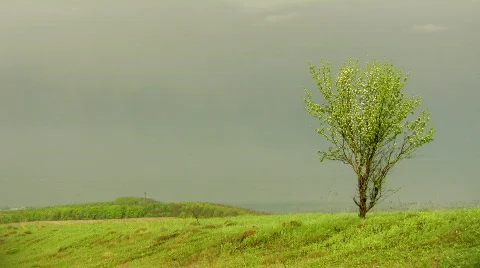 Before thunderstorm Stock-Footage 396988