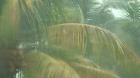 Thunderstorm  Stock Footage 399387