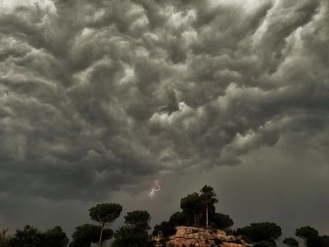 Thunderstorm lightning flashing over dark storm clouds and trees Stock Photos
