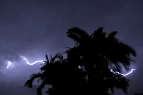 Thunderstorm-Lightning-Palm Tree 4x3 Stock Footage 8687602