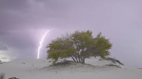 Thunderstorm lightning striking behind colorful solitary tree in desert Stock Footage 61865446
