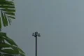 Thunderstorm-Lightning - Tropical tree, light pole, rain, thunder, strikes Footage