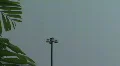 Thunderstorm-Lightning-Tropical tree-light pole-rain-thunder w audio Web Footage