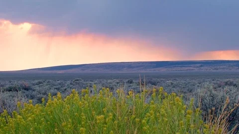 Thunderstorm over the desert at sunset Hart Mountain National Antelope Refuge Stock Footage 81912909