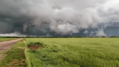 Thunderstorm Over Windy Field Video stock 278242691
