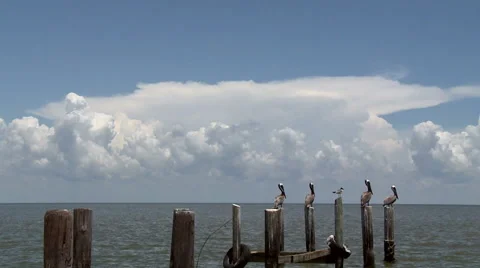 Thunderstorm at Sea Stock Footage 54713426