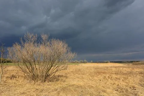 Thunderstorm in steppe Stock Photos
