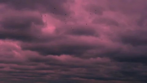 Thunderstorm Storm Gray Black Clouds in Tropical Sunset Red Pink Sky Impending S Stock Footage 328506871