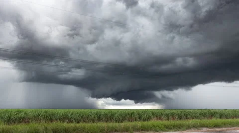 Thunderstorm timelapse over a sugarcane landscape Stock Footage 65888535